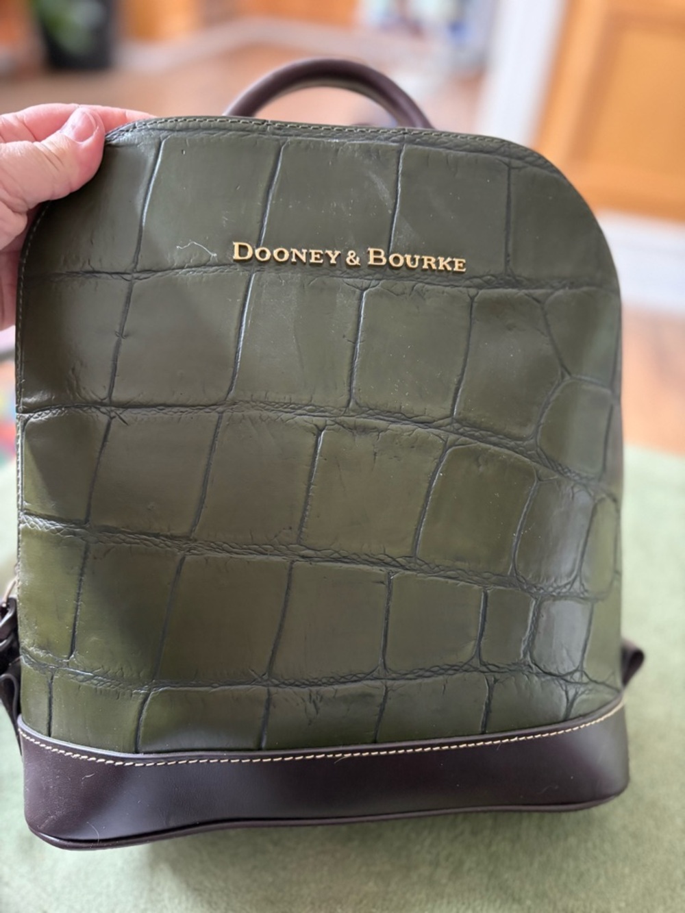 Dooney & Bourke NWT! Green Leather Crossbody Bag with Brown Trim